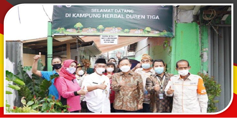 Kelurahan Duren Tiga Ubah Pekarangan Warga Jadi Kampung Herbal